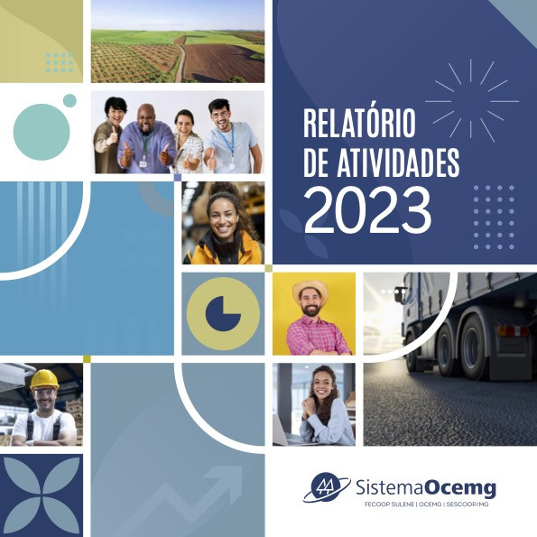 Relatório Anual de Atividades