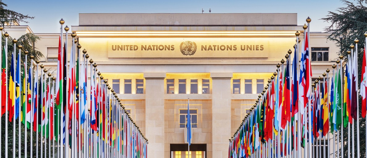 Por que celebrar o Ano Internacional das Cooperativas?